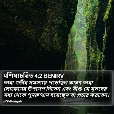 पশিষ্যচরিত 4:2 BENIRV Bible Verse Image
