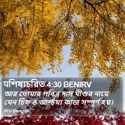 पশিষ্যচরিত 4:30 BENIRV Bible Verse Image