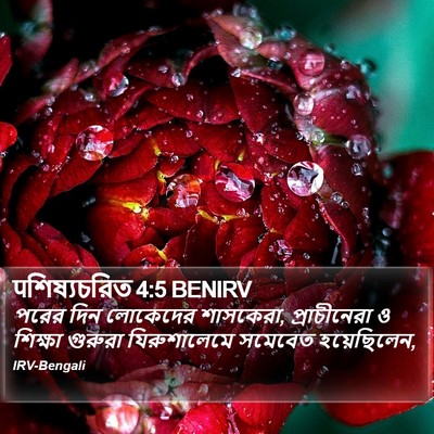 पশিষ্যচরিত 4:5 BENIRV Bible Verse Image