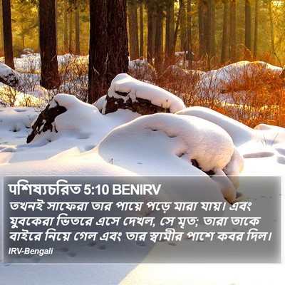 पশিষ্যচরিত 5:10 BENIRV Bible Verse Image