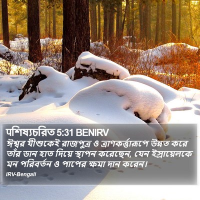 पশিষ্যচরিত 5:31 BENIRV Bible Verse Image