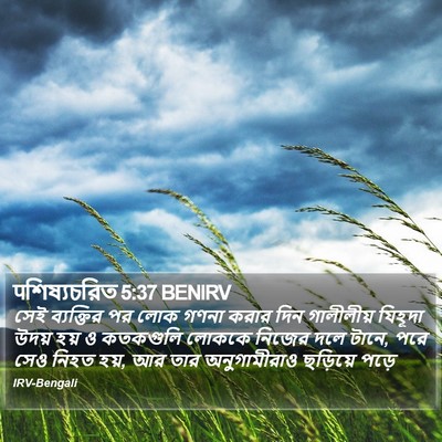पশিষ্যচরিত 5:37 BENIRV Bible Verse Image