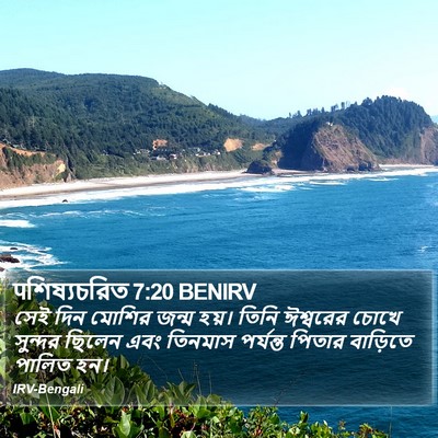 पশিষ্যচরিত 7:20 BENIRV Bible Verse Image