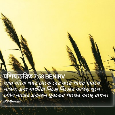 पশিষ্যচরিত 7:58 BENIRV Bible Verse Image