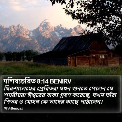 पশিষ্যচরিত 8:14 BENIRV Bible Verse Image