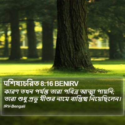 पশিষ্যচরিত 8:16 BENIRV Bible Verse Image