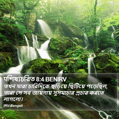 पশিষ্যচরিত 8:4 BENIRV Bible Verse Image