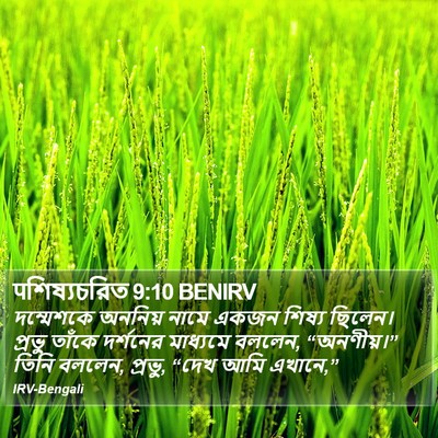 पশিষ্যচরিত 9:10 BENIRV Bible Verse Image