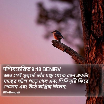 पশিষ্যচরিত 9:18 BENIRV Bible Verse Image