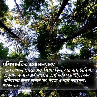 पশিষ্যচরিত 9:36 BENIRV Bible Verse Image