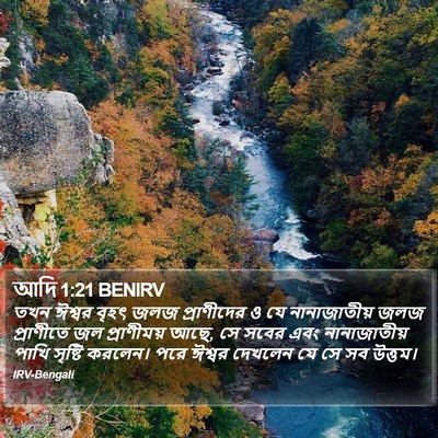 আদি 1:21 BENIRV Bible Verse Image