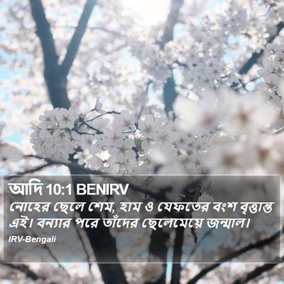 আদি 10:1 BENIRV Bible Verse Image