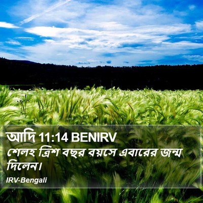 আদি 11:14 BENIRV Bible Verse Image