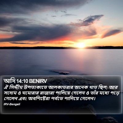 আদি 14:10 BENIRV Bible Verse Image