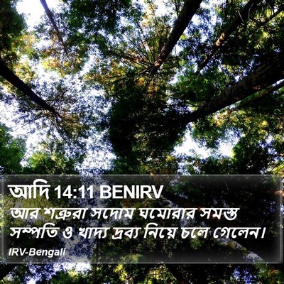 আদি 14:11 BENIRV Bible Verse Image