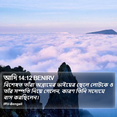 আদি 14:12 BENIRV Bible Verse Image