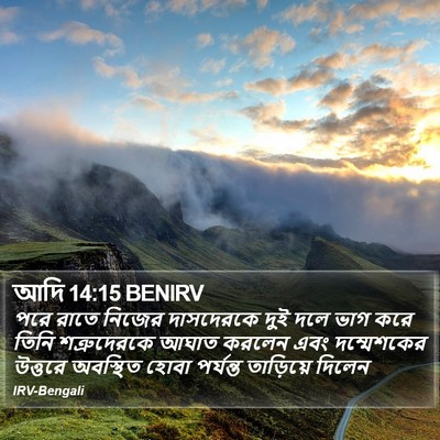 আদি 14:15 BENIRV Bible Verse Image