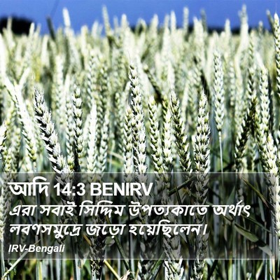 আদি 14:3 BENIRV Bible Verse Image