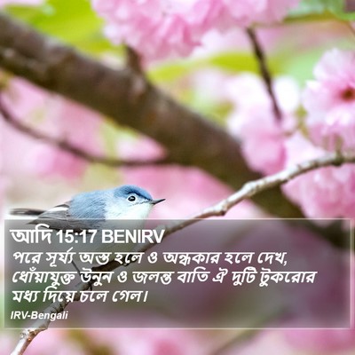 আদি 15:17 BENIRV Bible Verse Image