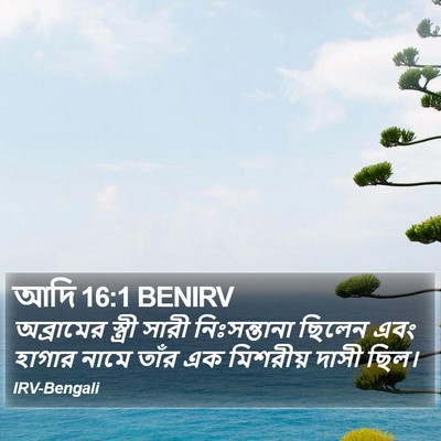 আদি 16:1 BENIRV Bible Verse Image