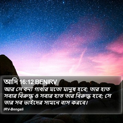 আদি 16:12 BENIRV Bible Verse Image