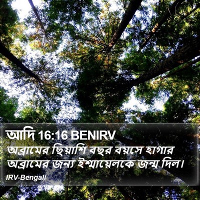 আদি 16:16 BENIRV Bible Verse Image