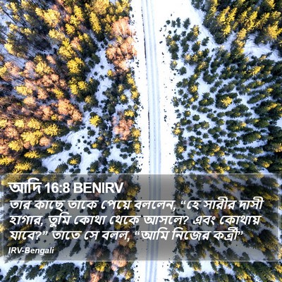 আদি 16:8 BENIRV Bible Verse Image