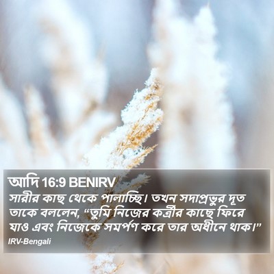 আদি 16:9 BENIRV Bible Verse Image