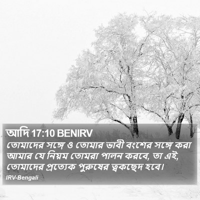 আদি 17:10 BENIRV Bible Verse Image
