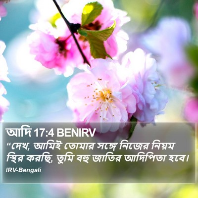 আদি 17:4 BENIRV Bible Verse Image
