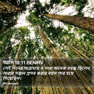 আদি 18:11 BENIRV Bible Verse Image