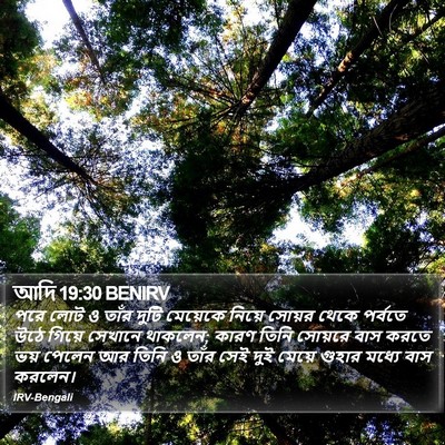 আদি 19:30 BENIRV Bible Verse Image