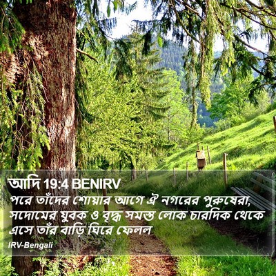আদি 19:4 BENIRV Bible Verse Image