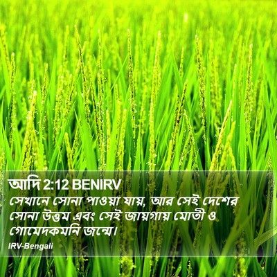 আদি 2:12 BENIRV Bible Verse Image