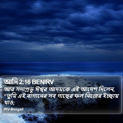 আদি 2:16 BENIRV Bible Verse Image