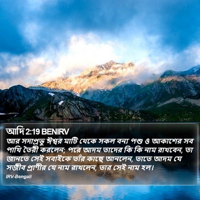 আদি 2:19 BENIRV Bible Verse Image