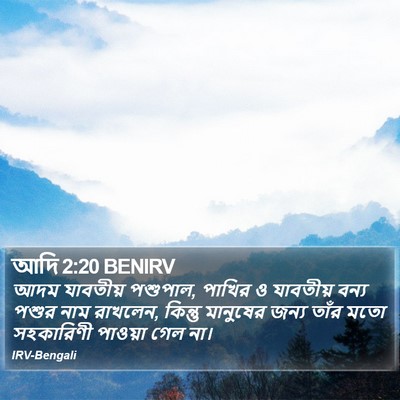 আদি 2:20 BENIRV Bible Verse Image