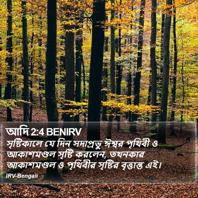 আদি 2:4 BENIRV Bible Verse Image