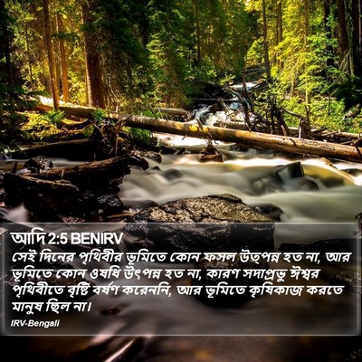 আদি 2:5 BENIRV Bible Verse Image