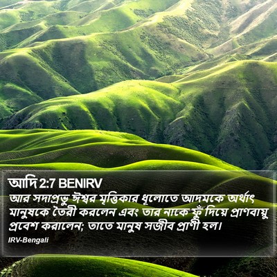 আদি 2:7 BENIRV Bible Verse Image