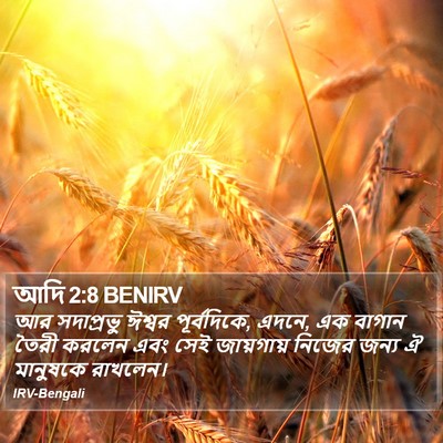 আদি 2:8 BENIRV Bible Verse Image