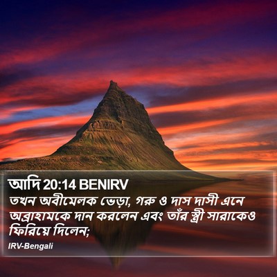 আদি 20:14 BENIRV Bible Verse Image