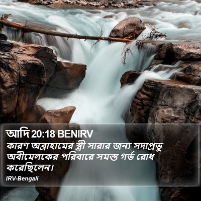 আদি 20:18 BENIRV Bible Verse Image