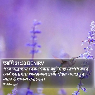 আদি 21:33 BENIRV Bible Verse Image