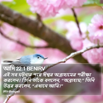 আদি 22:1 BENIRV Bible Verse Image