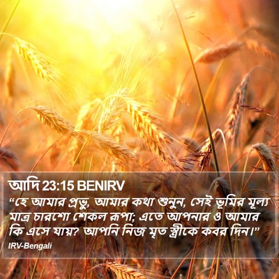 আদি 23:15 BENIRV Bible Verse Image