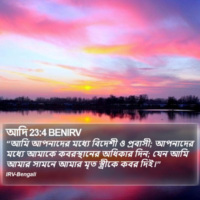 আদি 23:4 BENIRV Bible Verse Image