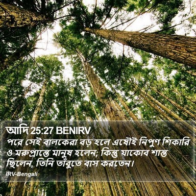আদি 25:27 BENIRV Bible Verse Image