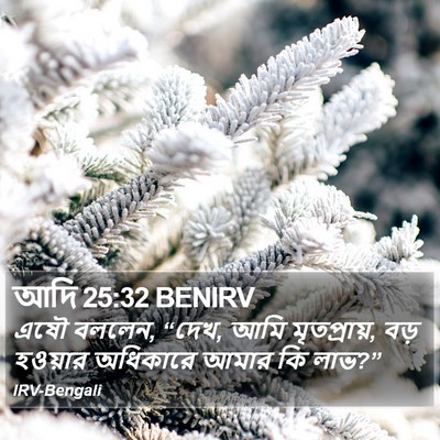 আদি 25:32 BENIRV Bible Verse Image
