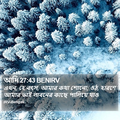 আদি 27:43 BENIRV Bible Verse Image